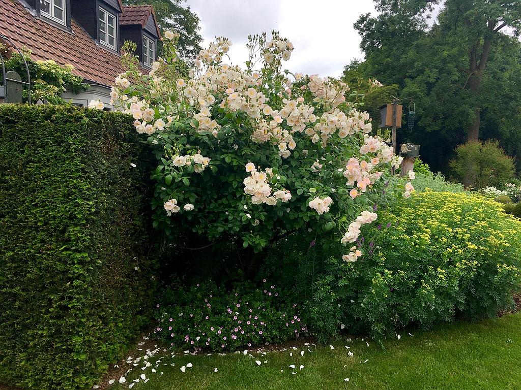 False