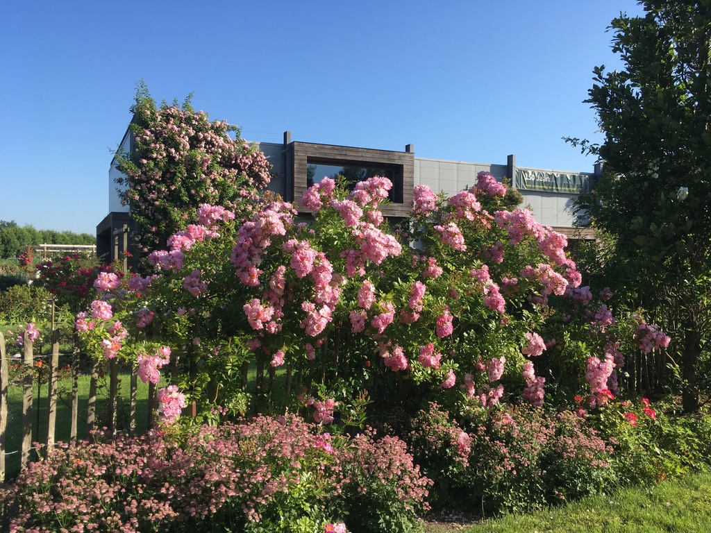 Gardens of Hex
