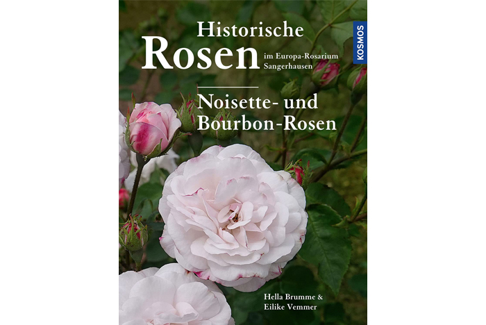 Historische Rosen - Noisette- und Bourbon-Rosen